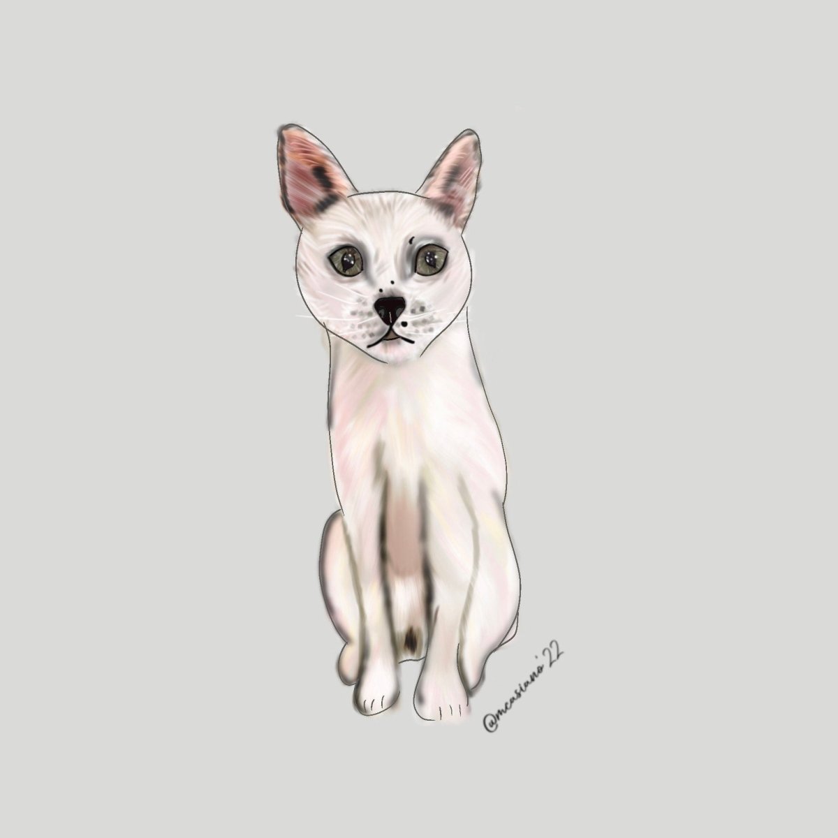 Custom Applehead Siamese Pet Portrait painting Personalized, White Traditional Applehead Siamese Cat Art for Wall Décor idea - Jarijadecreations