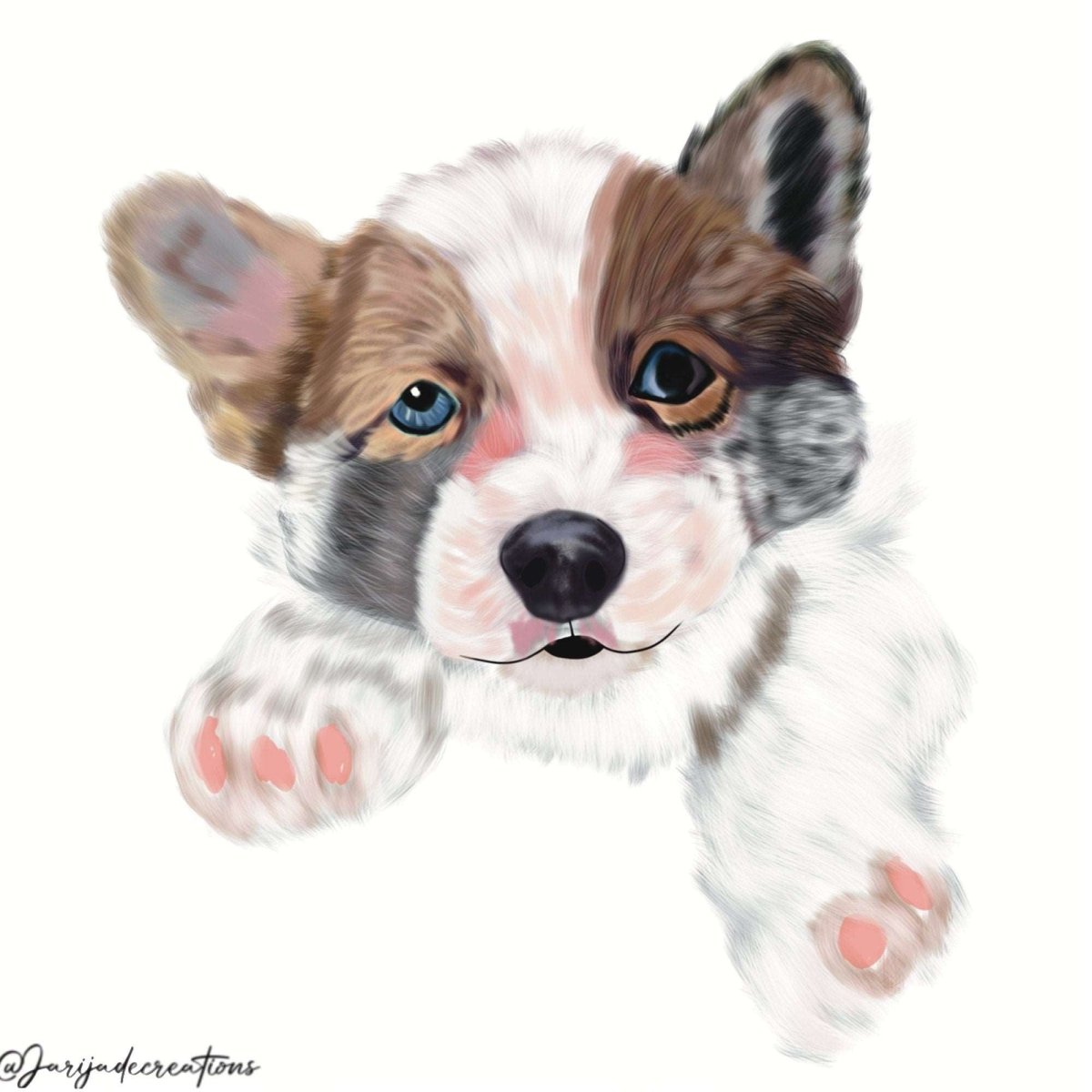 Custom Pet Portrait of your Merle Cardigan Welsh Corgi, Personalized Hand-drawn Digital Art from Photos - Jarijadecreations