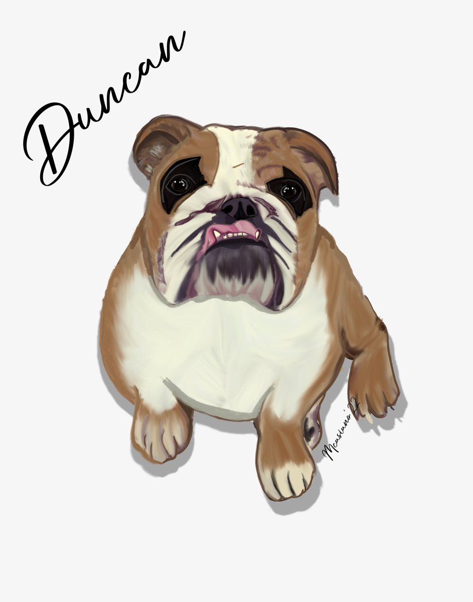 English Bulldog Memorial Portrait Digital Hand Drawn - Jarijadecreations