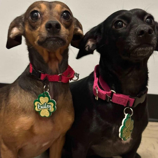 Four Leaf Clover Dog Tag, Irish dog ID tag, Custom Dog Tags, ID Tags for Dogs, Unique Pet ID, Personalized Pet Tag, Dog Name Tags Engraved - Jarijadecreations